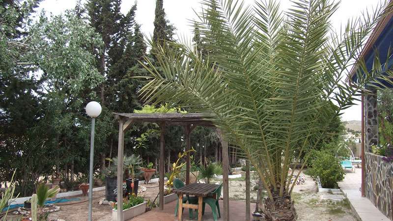 1477912626casa rural terraza